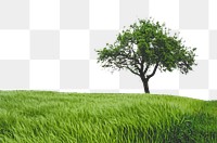 Lone tree png border, grass field image, transparent background