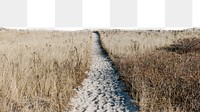 Sand path png border, transparent background