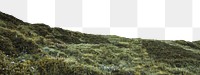 Png green grass border, beautiful landscape, transparent background