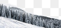 Winter forest png border, torn paper design, transparent background