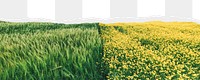 Agriculture fields png border, torn paper design, transparent background