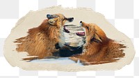 Red fox fighting png sticker, ripped paper, transparent background