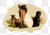 PNG Three horses standing close to each other, collage element, transparent background