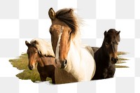 PNG Three horses standing close to each other, collage element, transparent background