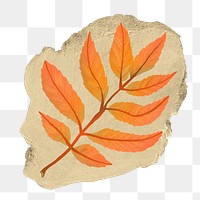 Autumn leaf branch png sticker, ripped paper, transparent background