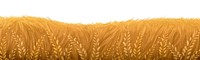 Wheat field png border, watercolor, transparent background