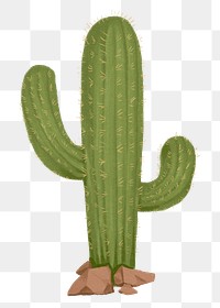 Cactus png sticker, desert plant, transparent background