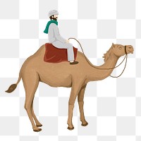 Camel rider png sticker, watercolor animal illustration, transparent background