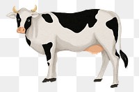 Dairy cattle, cow png sticker, watercolor animal illustration, transparent background