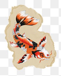 Japanese koi fish png sticker, ripped paper, transparent background