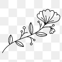 Png flower line art sticker, transparent background