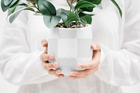 Plant pot mockup, png transparent