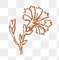 Vintage flower png sticker, brown botanical illustration, transparent background