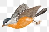 Robin bird png sticker, Johan Teyler's art, remixed by rawpixel, transparent background