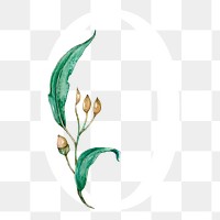 Png number 0 flower sticker, botanical design, transparent background