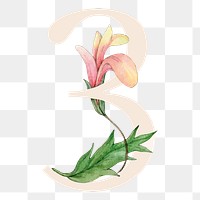 Png number 3 flower sticker, botanical design, transparent background
