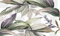 Botanical illustration png border sticker, vintage, transparent background