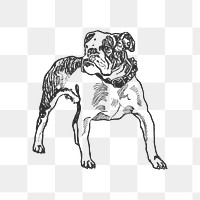 Bulldog png pet sticker, vintage collage element on transparent background