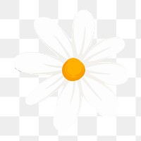 White flower png sticker, aesthetic design, transparent background