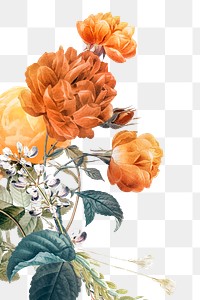 Orange flower png sticker, transparent background