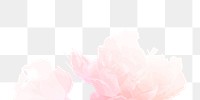 Pink flower png watercolor sticker, transparent background