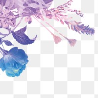 Beautiful flower png border, transparent background