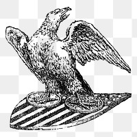 American eagle png sticker illustration, transparent background. Free public domain CC0 image.