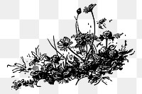 Flower png sticker illustration, transparent background. Free public domain CC0 image.