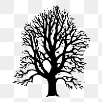 Tree png sticker illustration, transparent background. Free public domain CC0 image.