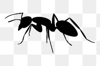 Ant png sticker illustration, transparent background. Free public domain CC0 image.