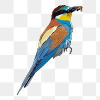 Bee-eater bird png sticker illustration, transparent background. Free public domain CC0 image.