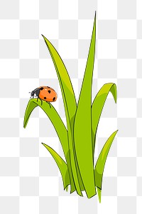 Long grass png sticker illustration, transparent background. Free public domain CC0 image.