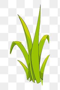 Long grass png sticker illustration, transparent background. Free public domain CC0 image.