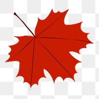 Maple leaf png sticker illustration, transparent background. Free public domain CC0 image.