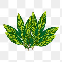 Leaf png sticker illustration, transparent background. Free public domain CC0 image.