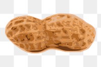 Peanut png sticker illustration, transparent background. Free public domain CC0 image.