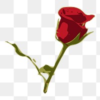 Red rose png sticker illustration, transparent background. Free public domain CC0 image.