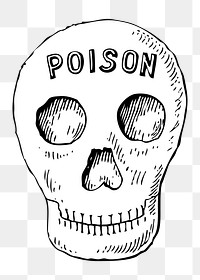 Human skull with poison word png illustration, transparent background. Free public domain CC0 image.