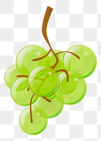 Green grape png illustration, transparent background. Free public domain CC0 image.