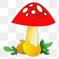 Red mushroom png illustration, transparent background. Free public domain CC0 image.