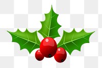 Christmas holly  png illustration, transparent background. Free public domain CC0 image.