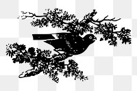 Bird png  illustration, transparent background. Free public domain CC0 image.