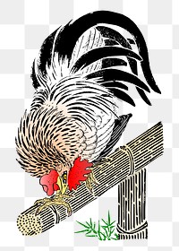 Rooster png illustration, transparent background. Free public domain CC0 image.