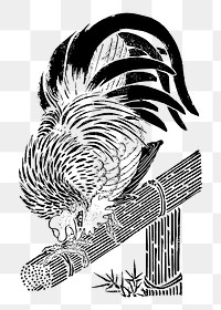 Rooster png illustration, transparent background. Free public domain CC0 image.