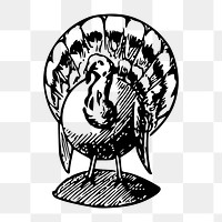 Turkey png  illustration, transparent background. Free public domain CC0 image.