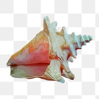 Conch shell png illustration, transparent background. Free public domain CC0 image.