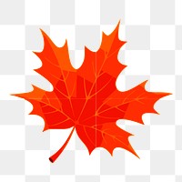 Maple leaf png illustration, transparent background. Free public domain CC0 image.