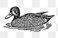 Duck png sticker, transparent background. Free public domain CC0 image.