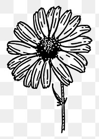 Flower png sticker, transparent background. Free public domain CC0 image.