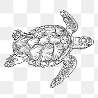 Sea turtle png sticker, transparent background. Free public domain CC0 image.